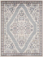 Danny Traditional Light Gray Area Rug