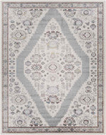 Danny Traditional Light Gray Area Rug