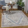 Danny Traditional Light Gray Area Rug