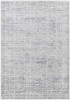 North Barrington Traditional Light Gray Area Rug