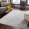 North Barrington Traditional Light Gray Area Rug