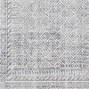 North Barrington Traditional Light Gray Area Rug