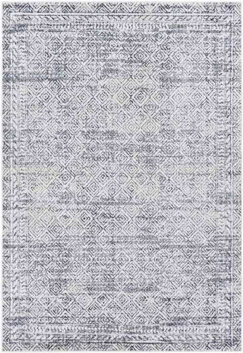 North Barrington Traditional Medium Gray Area Rug