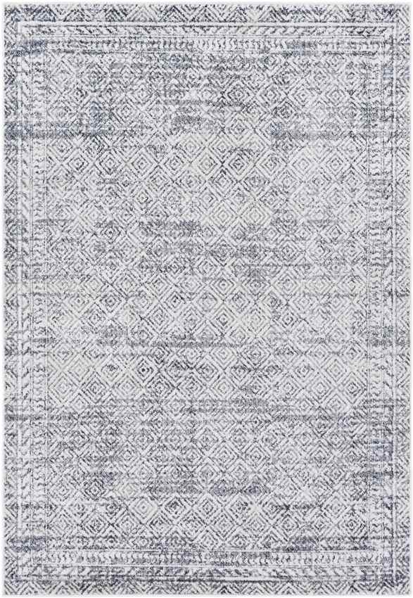 North Barrington Traditional Medium Gray Area Rug