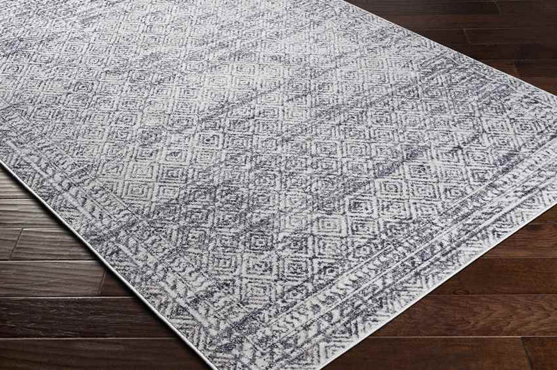 North Barrington Traditional Medium Gray Area Rug