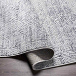 North Barrington Traditional Medium Gray Area Rug