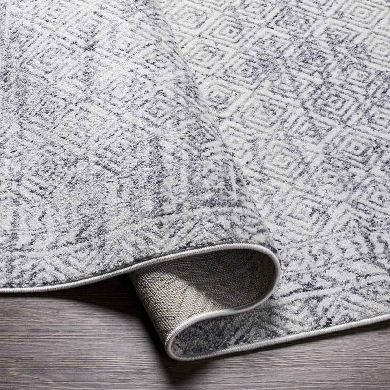 North Barrington Traditional Medium Gray Area Rug