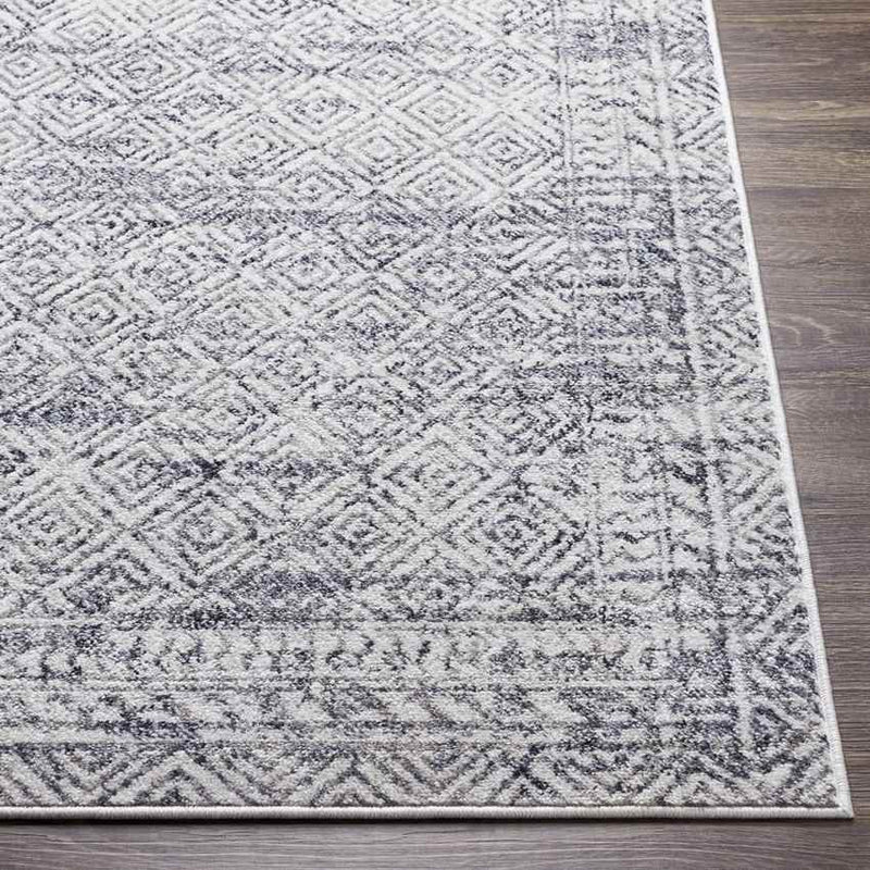 North Barrington Traditional Medium Gray Area Rug