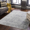 North Barrington Traditional Medium Gray Area Rug
