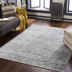 North Barrington Traditional Medium Gray Area Rug