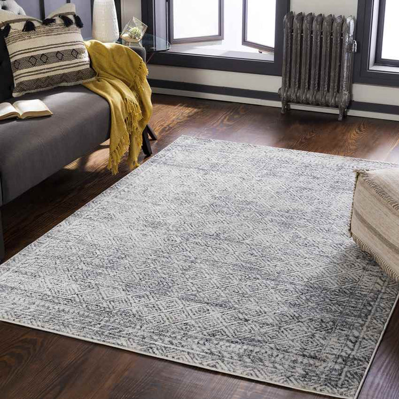 North Barrington Traditional Medium Gray Area Rug