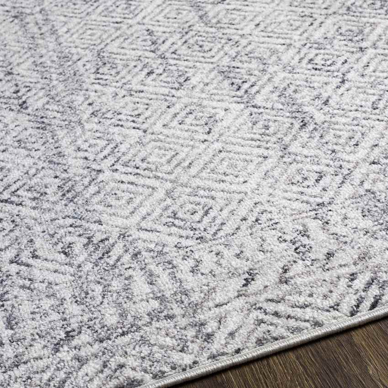 North Barrington Traditional Medium Gray Area Rug