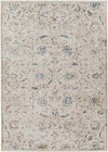 Montpelier Traditional Beige Area Rug