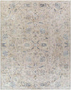 Montpelier Traditional Beige Area Rug