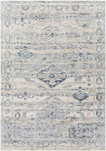 Vanderburgh Traditional Medium Gray Area Rug