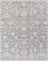 Jennings Traditional Beige Area Rug
