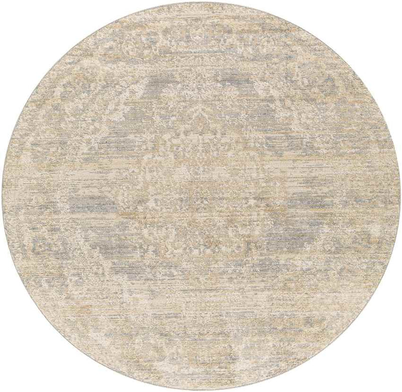 Warrick Traditional Beige Area Rug