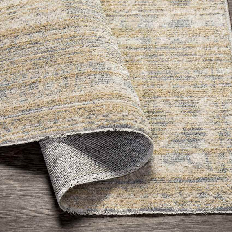 Warrick Traditional Beige Area Rug