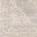 Warrick Traditional Beige Area Rug