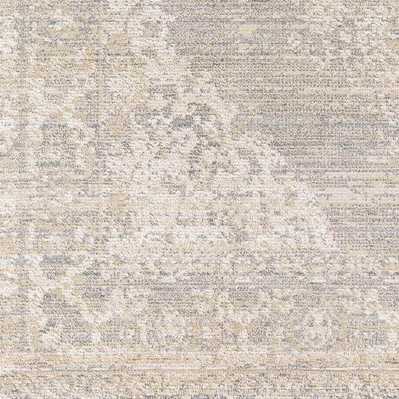 Warrick Traditional Beige Area Rug