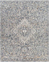 Jay Traditional Denim Area Rug