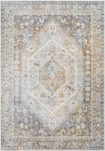 Elisa Traditional Light Gray Area Rug