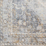 Elisa Traditional Light Gray Area Rug