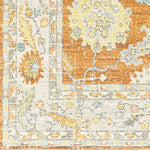 Oak Park Traditional Burnt Orange Area Rug