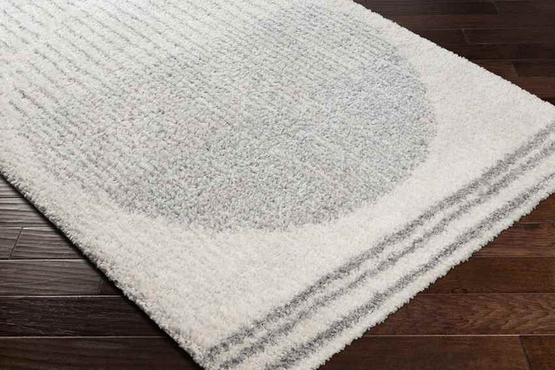 Oakbrook Terrace Modern Light Gray Area Rug