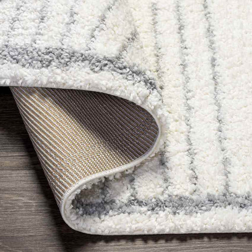 Oakbrook Terrace Modern Light Gray Area Rug
