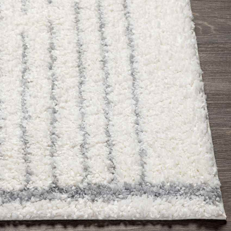 Oakbrook Terrace Modern Light Gray Area Rug