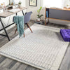 Oakbrook Terrace Modern Light Gray Area Rug