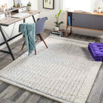 Oakbrook Terrace Modern Light Gray Area Rug