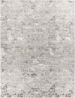 Ozgur Modern Charcoal Area Rug
