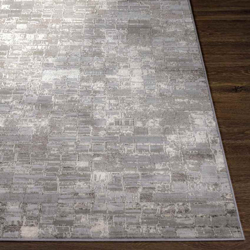 Ozgur Modern Charcoal Area Rug