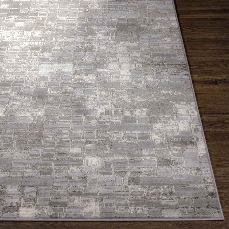 Ozgur Modern Charcoal Area Rug