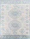 New Salem Traditional Dark Blue Area Rug