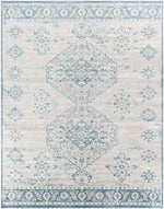 New Salem Traditional Dark Blue Area Rug