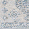 New Salem Traditional Dark Blue Area Rug