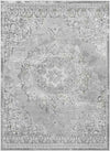 Jerry Traditional Charcoal Area Rug