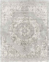 Jerry Traditional Charcoal Area Rug
