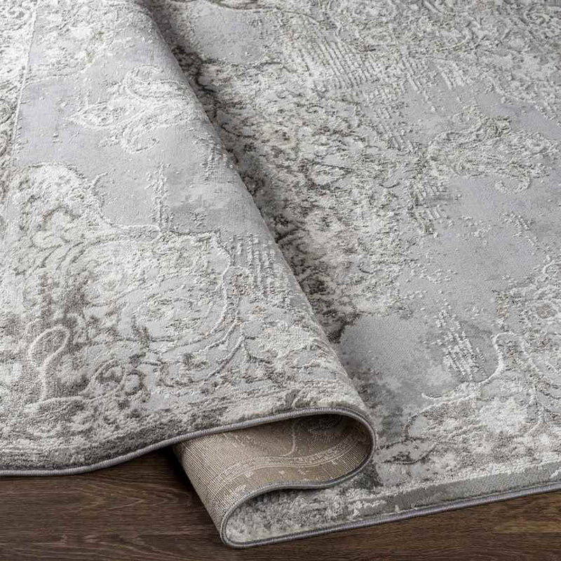 Jerry Traditional Charcoal Area Rug