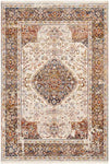 Willow Hill Traditional Burnt Orange Area Rug