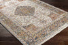 Willow Hill Traditional Burnt Orange Area Rug