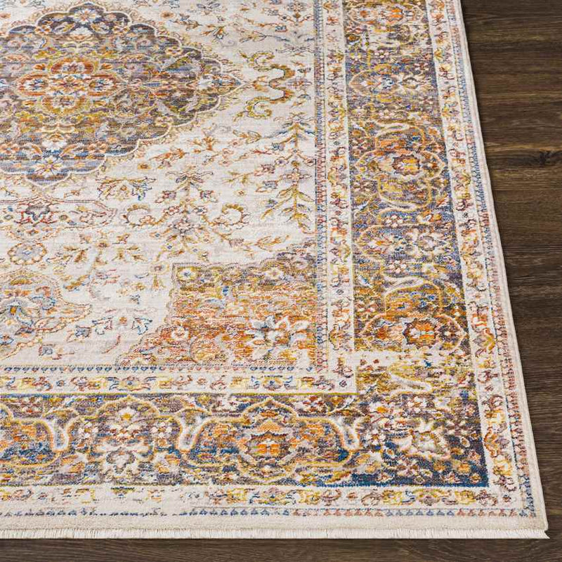 Willow Hill Traditional Burnt Orange Area Rug