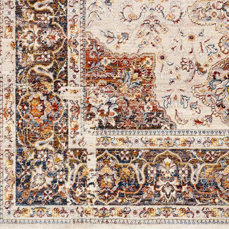 Willow Hill Traditional Burnt Orange Area Rug