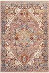 Willow Springs Traditional Peach Area Rug