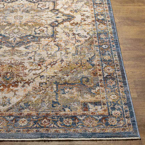 Willow Springs Traditional Burnt Orange Area Rug