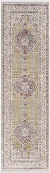 Winthrop Harbor Traditional Olive Area Rug