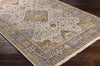 Wonder Lake Traditional Burnt Orange Area Rug